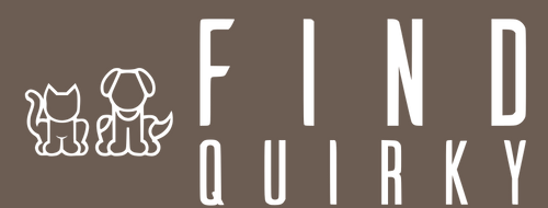 FindQuirky