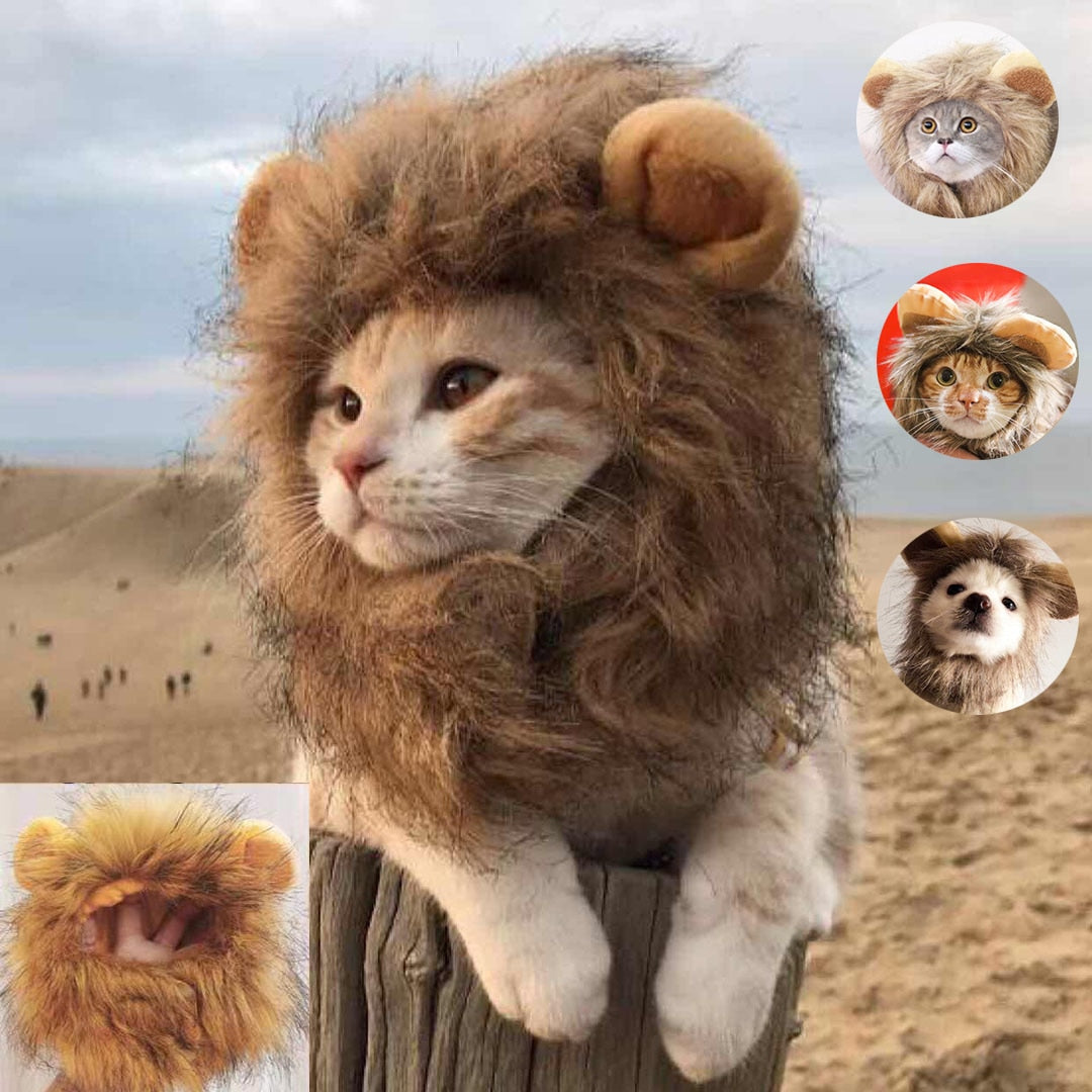 Leeuw Manen voor uw Kat