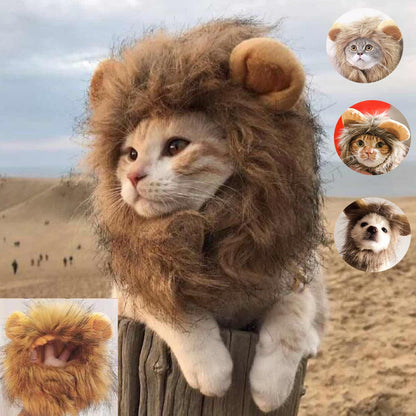 Leeuw Manen voor uw Kat