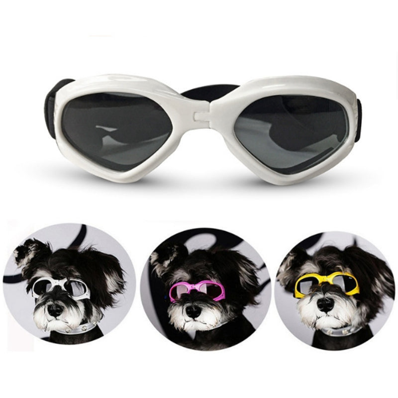 Coole en beschermende zonnebrillen voor je hond