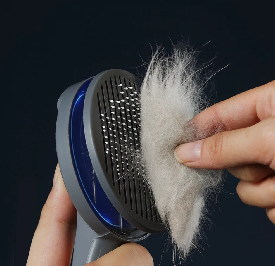 Veilige, comfortabele en duurzame hondenborstel