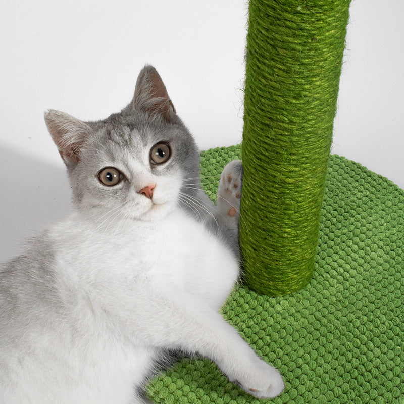 Katten Krabpaal