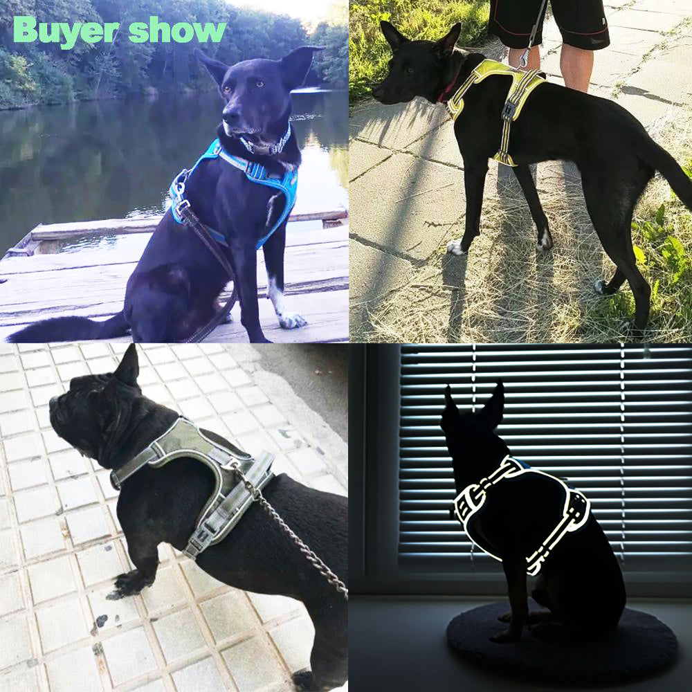 Honden harnas