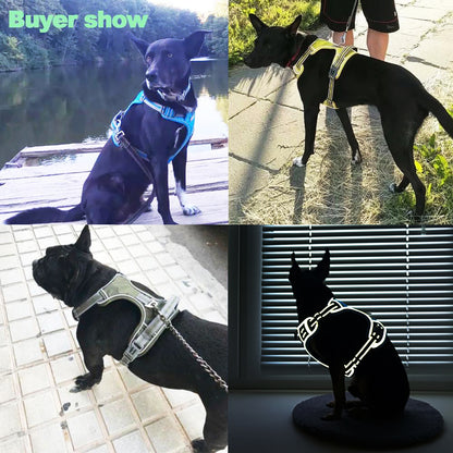 Honden harnas