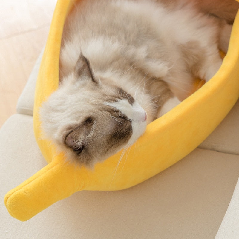 Bed voor uw kat: de Banana Cat Bed