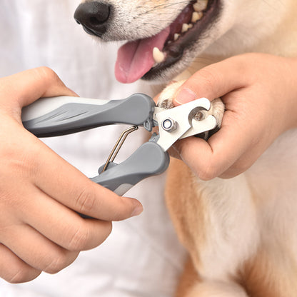 Nagelschaar