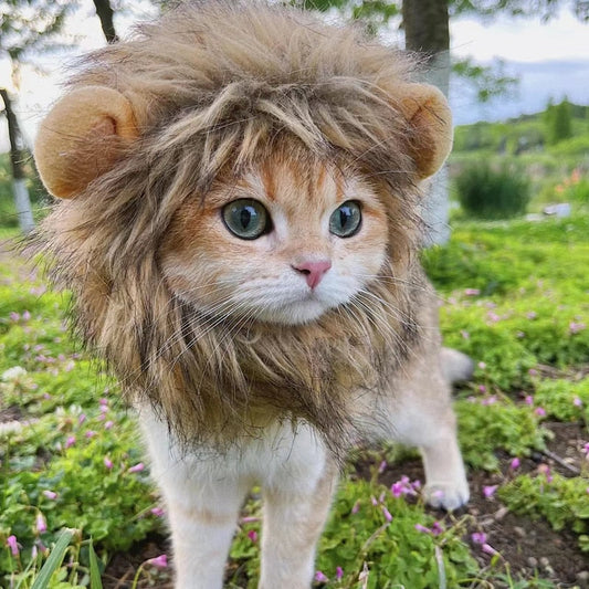 Leeuw Manen voor uw Kat